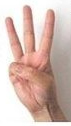 Three chinese hand.jpg