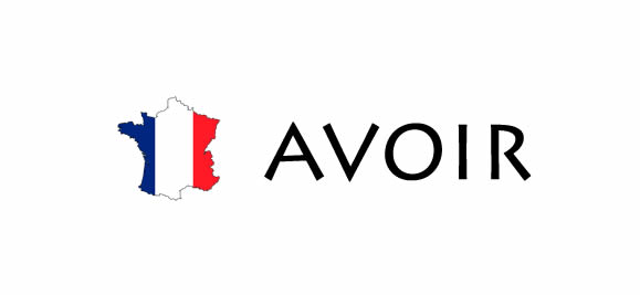 How To Use To Have avoir In French 