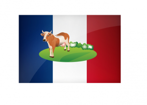 Vocabulaire-agriculture-la-ferme-français.png