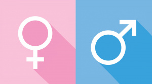 Gender-of-Nouns-French-PolyglotClub.jpg