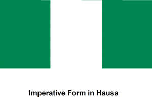 Imperative Form in Hausa