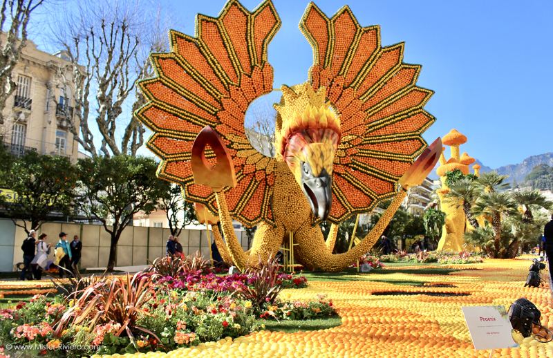 Event 'Menton – Fête du Citron': Photo #9186 1767606098_vincent.jpg