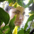 Aiyana1979 profile picture