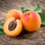 Apricott profile picture