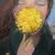 alia_elkh profile picture