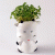 bamboosprout profile picture