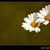 es_ka profile picture