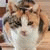 fb_1745510302 profile picture