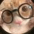 fin_duong profile picture
