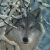 graywolf2099 profile picture