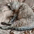 josiane_da profile picture