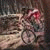 kelly_grey profile picture