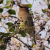 Madelyn_16 profile picture
