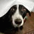 marie_pour profile picture