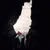 member mohamed_li2