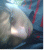 mostafa_zare profile picture