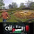 member moughit_el