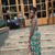 member nahnah_hem