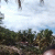 pamela_j_r profile picture