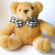 Teddy-Bear profile picture