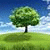 tree_green profile picture