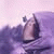 ya_fa profile picture
