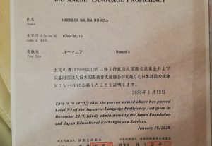 Romanian/Spanish/Japanese translator