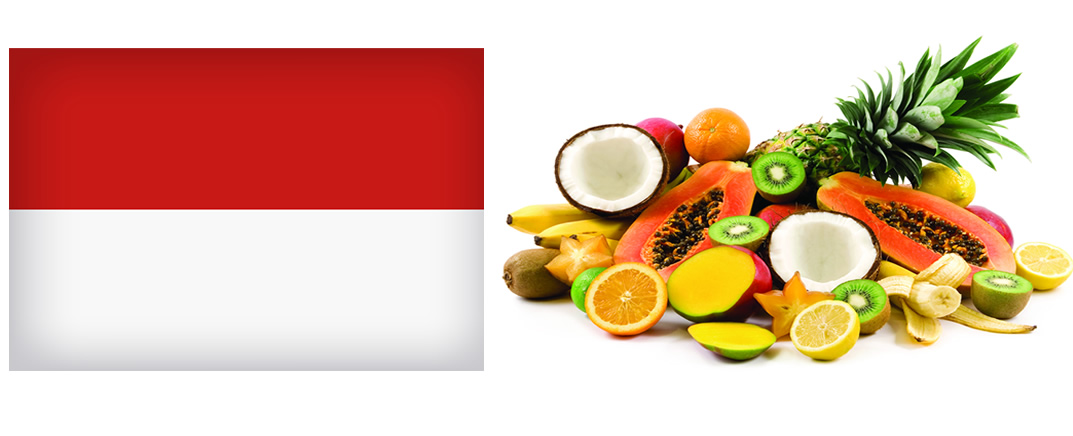 Fruits-vocabulary-indonesian.jpg