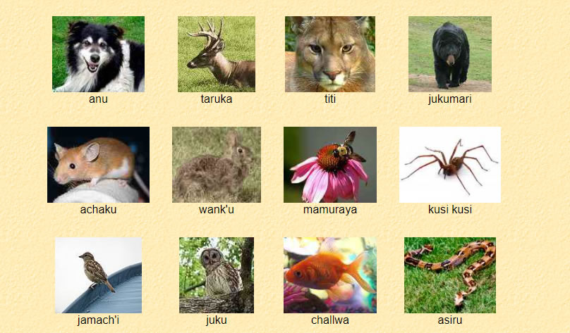 Central-aymara Vocabulary - Animals
