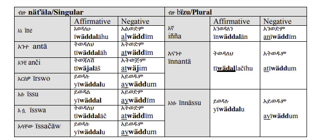 Amharic-Language-to-like-PolyglotClub.jpg
