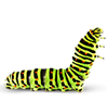 Caterpillar.png