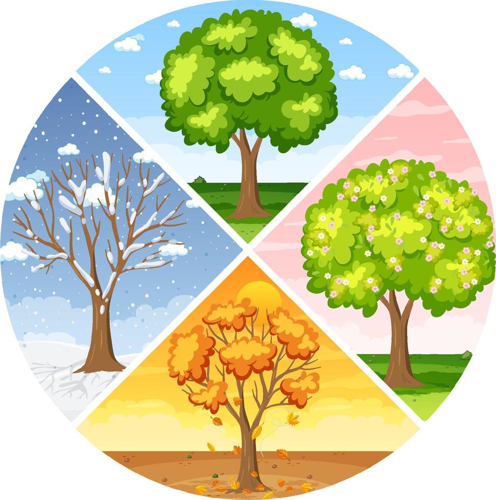 4-seasons-in-latin