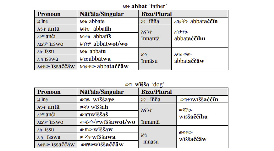 Amharic-Language-Possessive-Form2-PolyglotClub.jpg