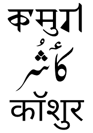 Kashmiri-Language-PolyglotClub.png