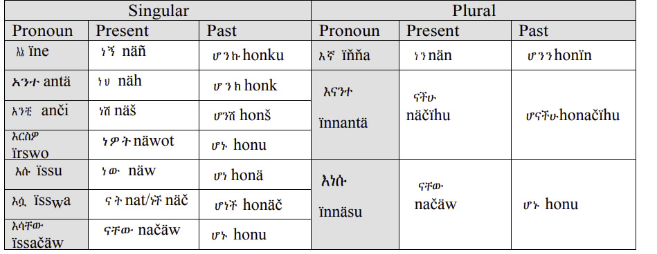 Amharic-Language-The-Simple-Past-To-Become-PolyglotClub.jpg