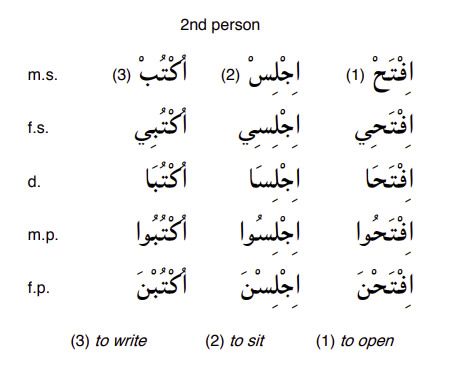 Arabic-Language-Imperative-PolyglotClub.jpg