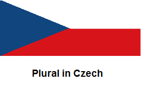 Plural in Czech.png