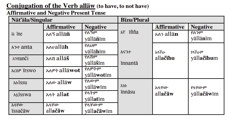 Amharic-Language-Conjugation-to-Have-PolyglotClub.jpg