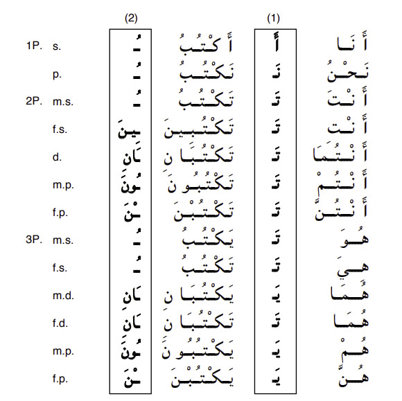 Arabic-Language-imperfect-to-write-PolyglotClub.jpg