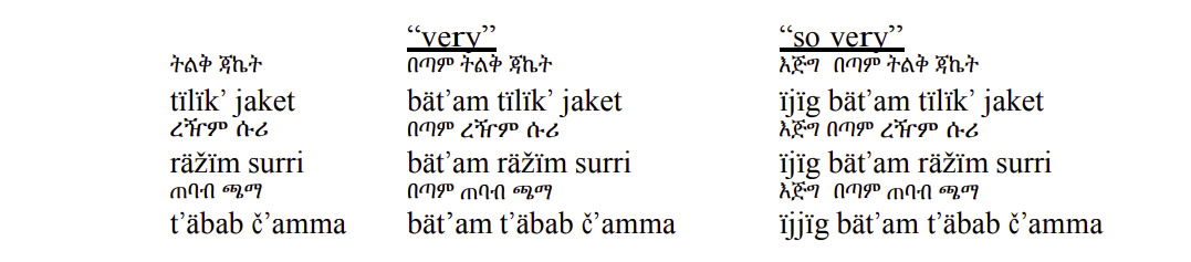 Amharic-Language-Comparing and Contrasting PolyglotClub.jpg