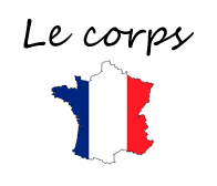 Learn french le corps.jpg