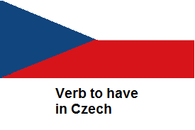 Verb to have in Czech