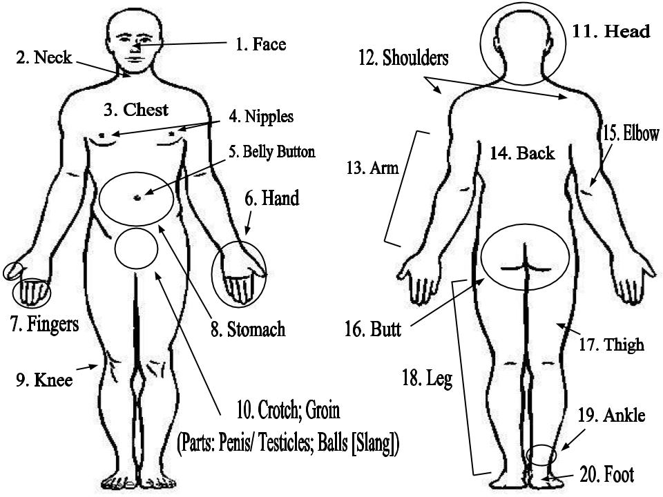 English Vocabulary - Parts of the Body