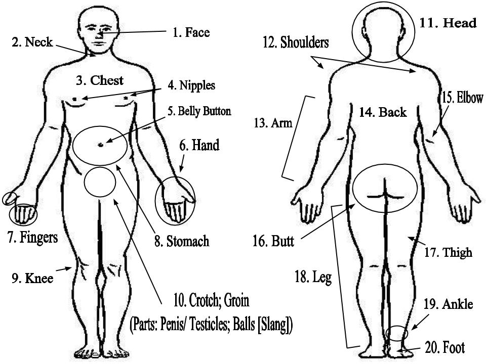 English Vocabulary Parts Of The Body