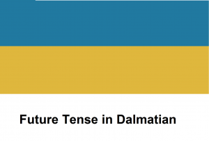 Future Tense in Dalmatian