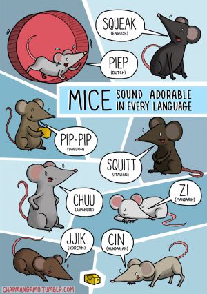 Animal-sounds-in-different-languages-james-chapman-6.jpg