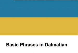 Basic Phrases in Dalmatian