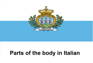 Parts of the body in Italian