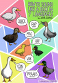 Animal-sounds-in-different-languages-james-chapman-3.jpg