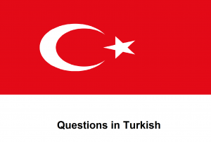 Questions in Turkish